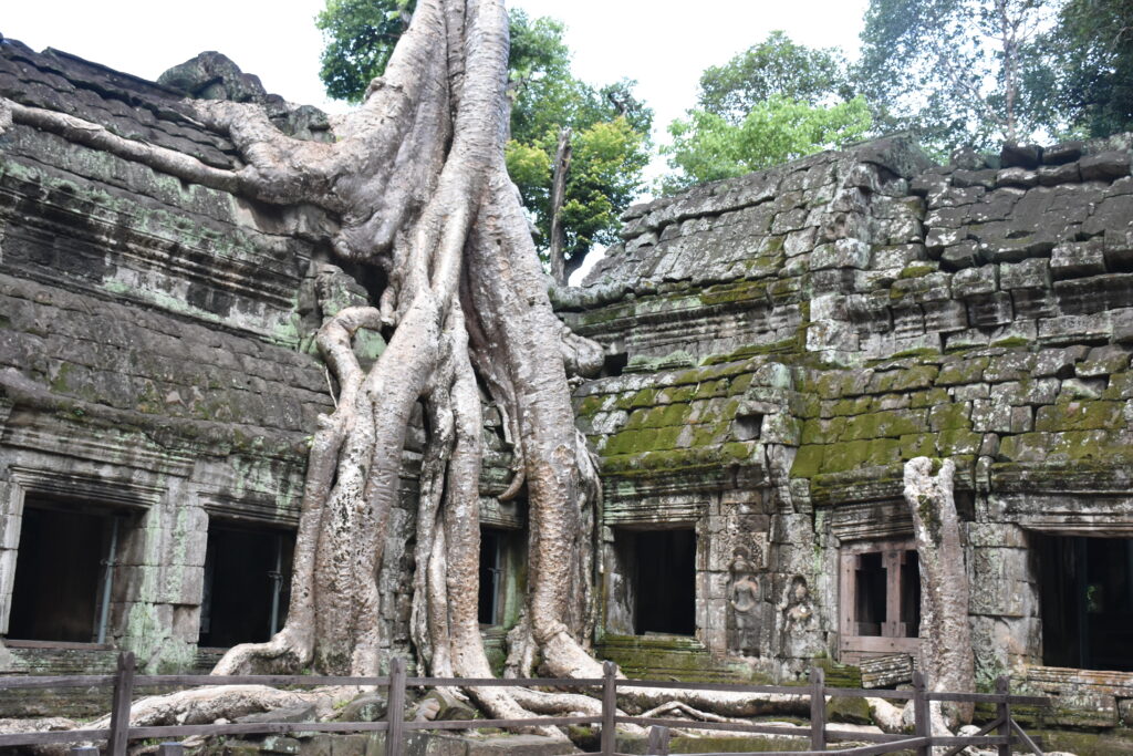 lights off in cambodia